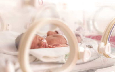 Résultats de l’Enquête EPIPAGE-2 : suivi à 5 ans 1/2 des enfants nés prématurément